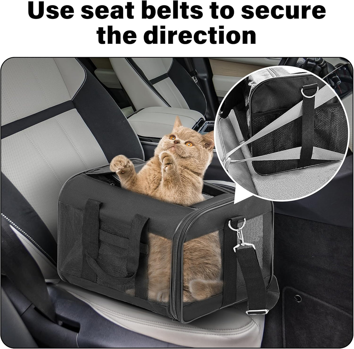 Pet Travel Carrier, Soft-Sided, Airline Approved
