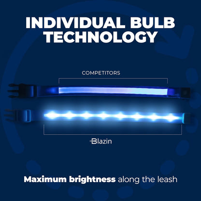 Light up LED Dog Collar, USB Rechargeable Waterproof