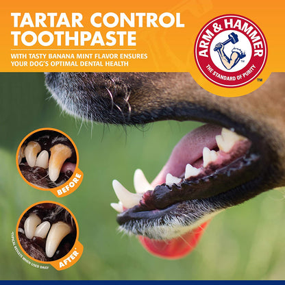Dental Care Kit for Pets