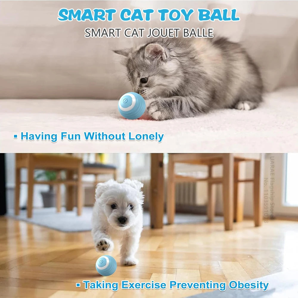 Electric Rolling Ball Interactive Cat Toy