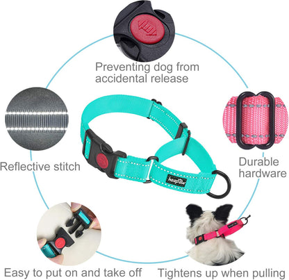 Reflective Martingale Training Collar