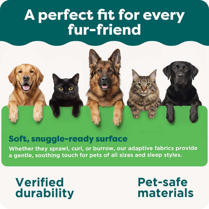 Orthopedic Dog Bed for Large Dogs, Removable Bolsters