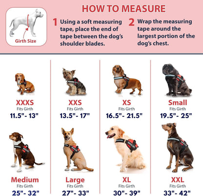 Service Dog Vest + Leash Set