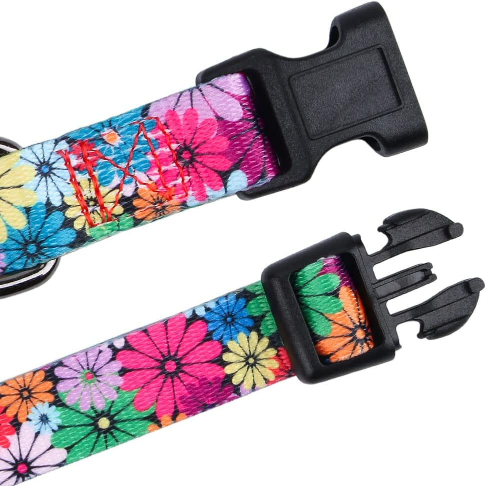 Floral Pattern Dog Collar