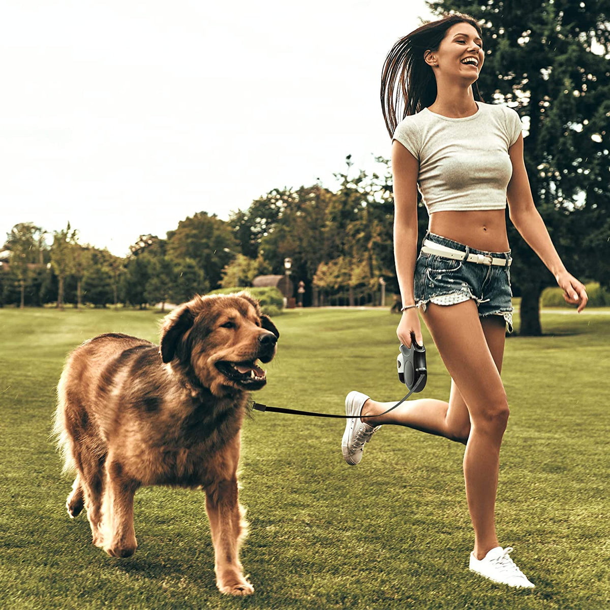 Retractable Dog Leash M 16Ft W/ Dispenser & Poop Bags