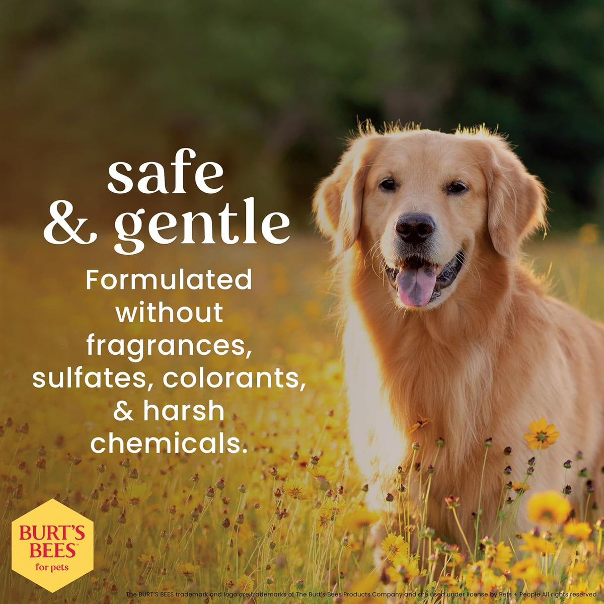 Burt'S Bees Honey Grooming Wipes