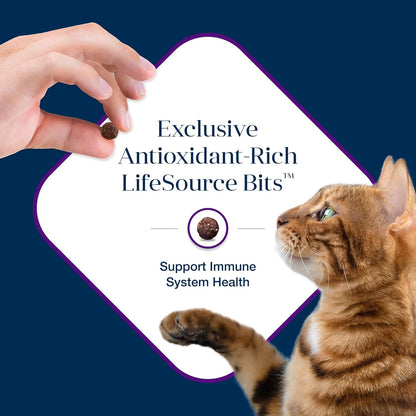 Basics Limited-Ingredient Cat Food