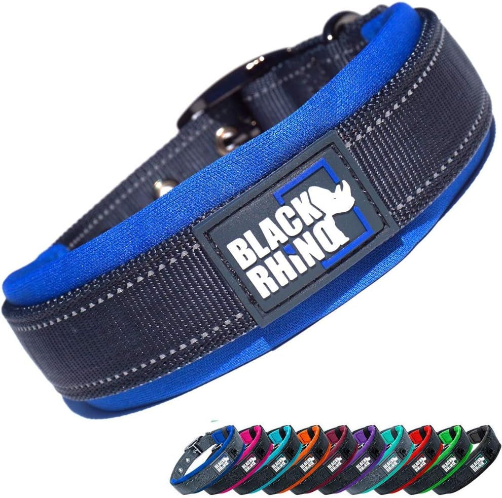 Neoprene-Padded Dog Collar
