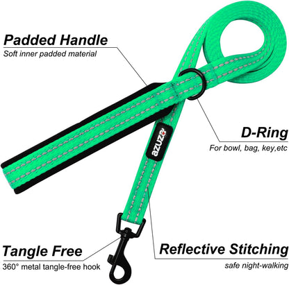 Padded Leash & Collar Matching Set