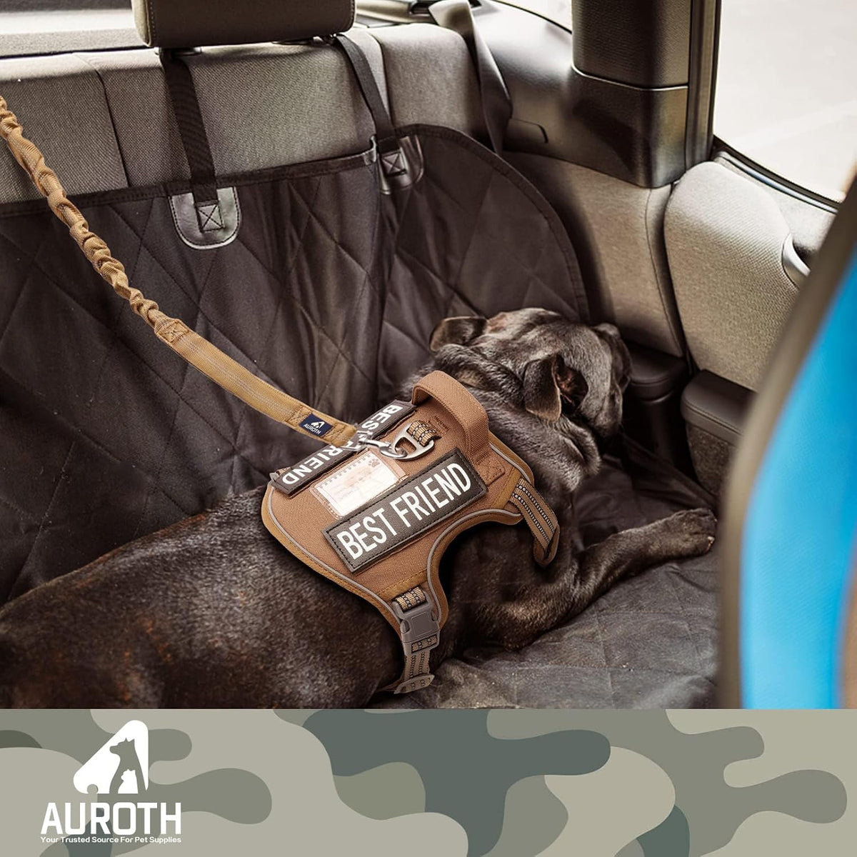 Bungee Leash W/ Car Seatbelt Clip