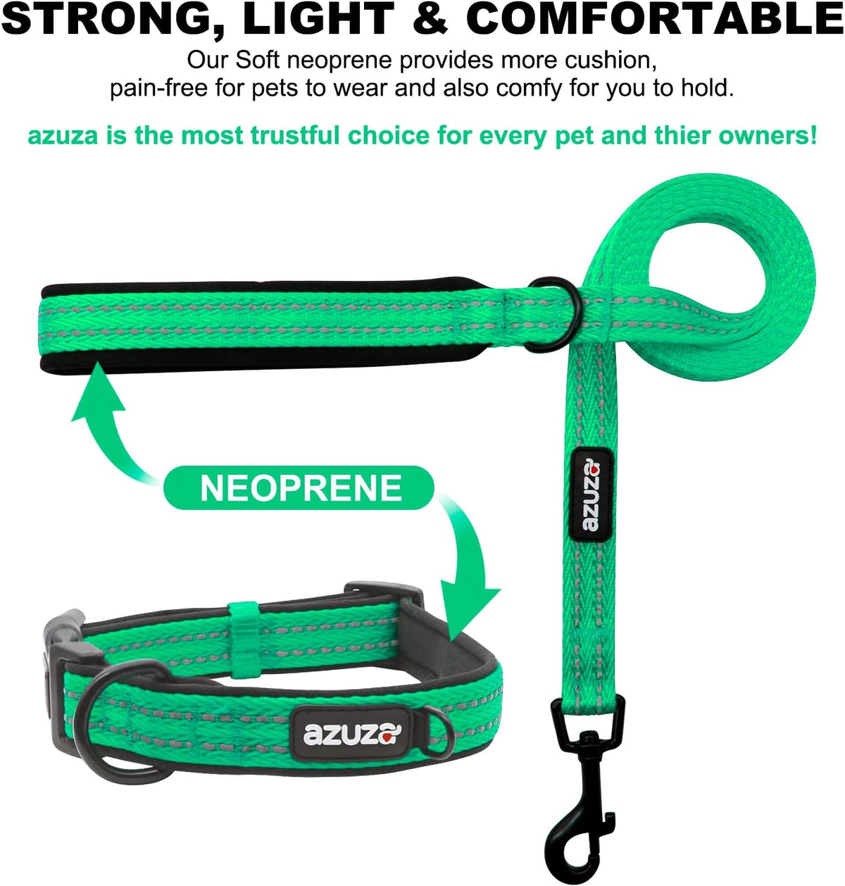 Padded Leash & Collar Matching Set
