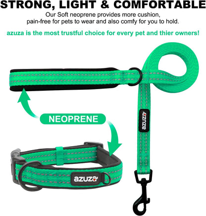 Padded Leash & Collar Matching Set