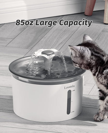 Cat Water Fountain 85Oz, Automatic Dispenser W/ LED Lights