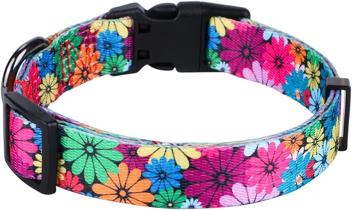 Floral Pattern Dog Collar