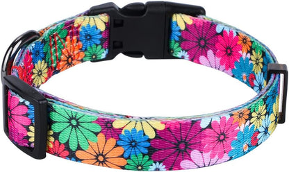 Floral Pattern Dog Collar