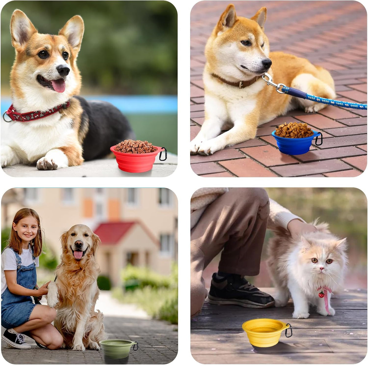 2-Pack Silicone Collapsible Dog Bowls, Portable