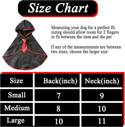 Cat Wizard Halloween Costume