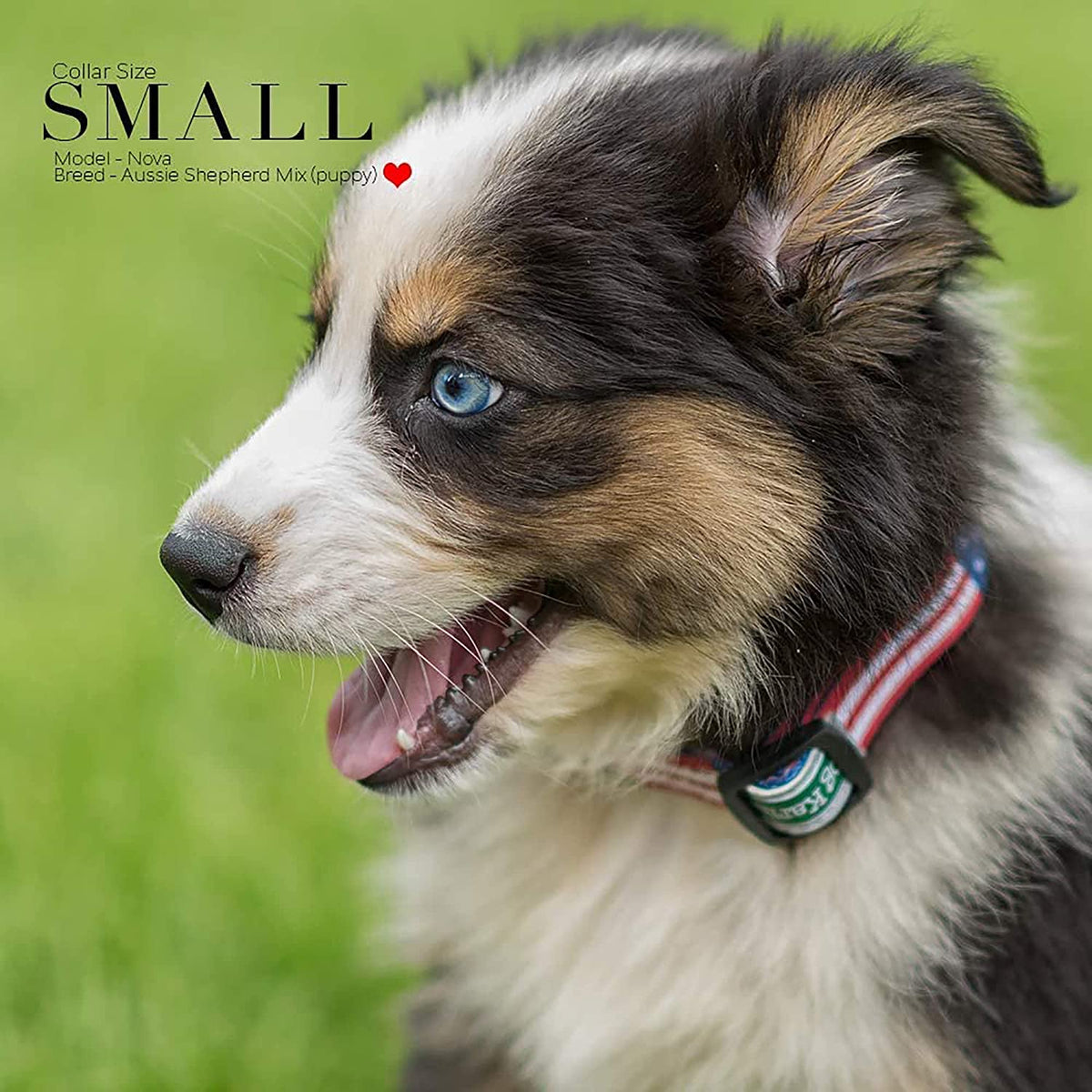 American Flag Adjustable Dog Collar