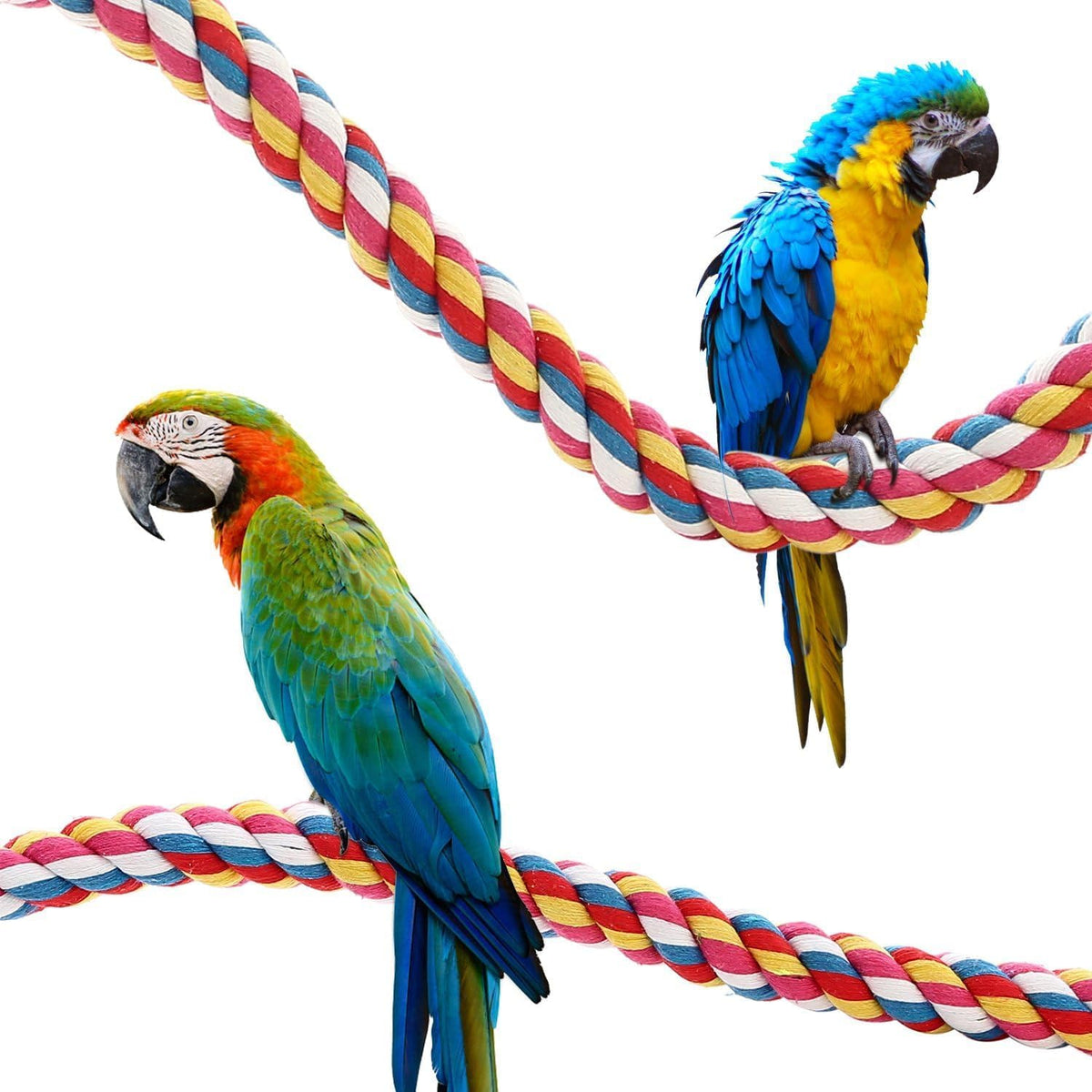 Bird Rope Bungee Perch Toy