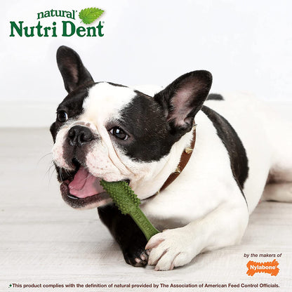 Nutri Dent Dental Chew Treats