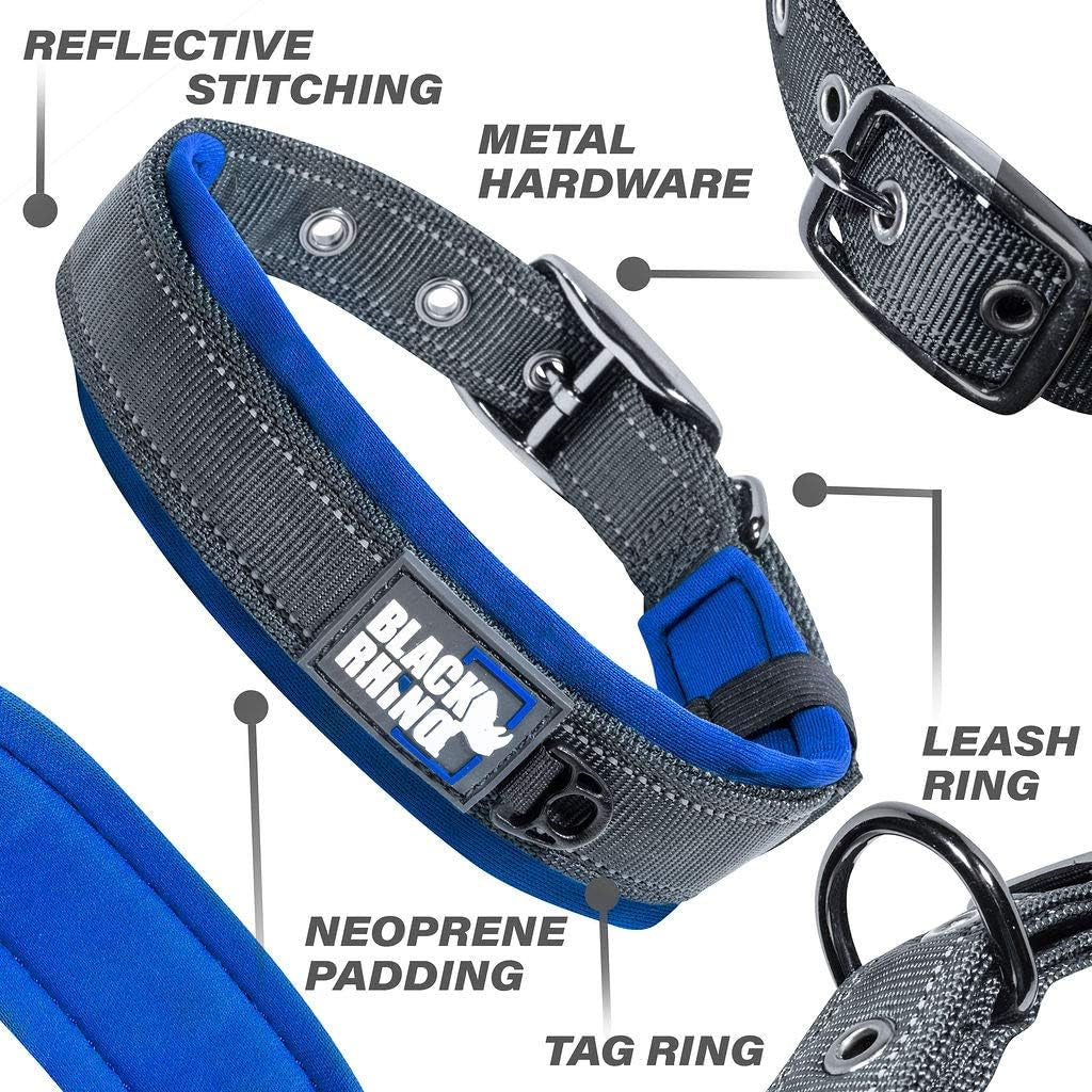 Neoprene-Padded Dog Collar