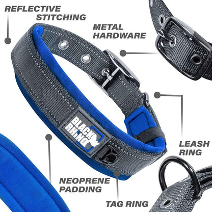 Neoprene-Padded Dog Collar