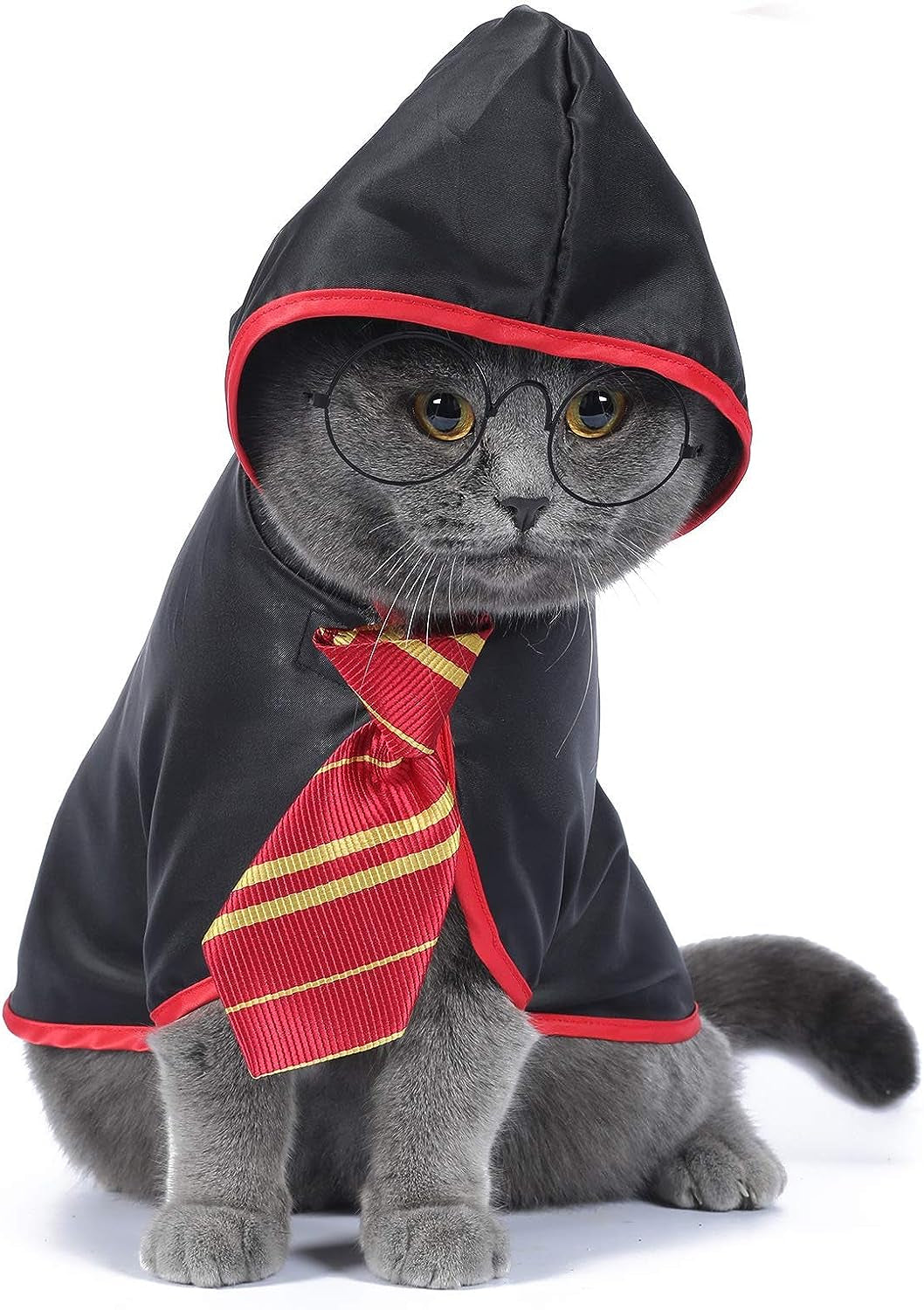 Cat Wizard Halloween Costume