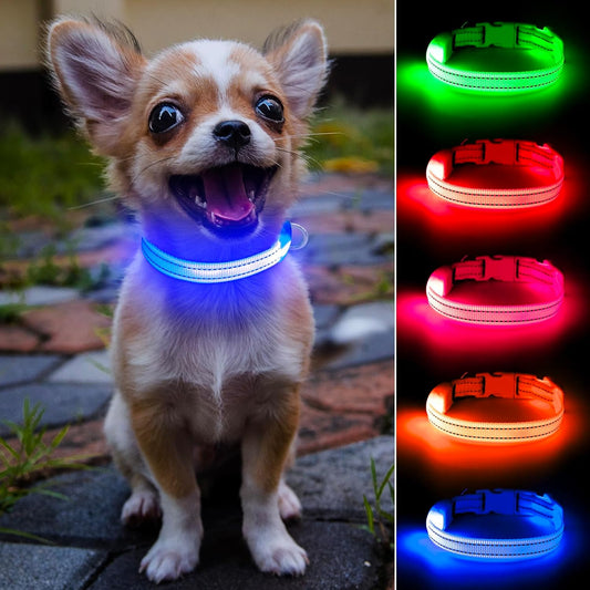 Light up Dog Collar, Reflective LED Rechargeable Puppy Collar