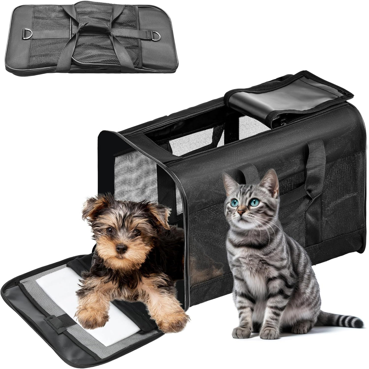 Pet Travel Carrier, Soft-Sided, Airline Approved