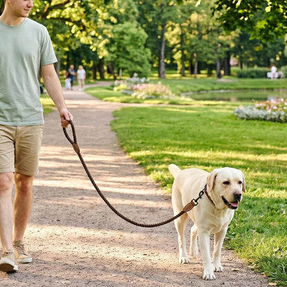 Braided Cotton Rope Dog Leash W/ Leather Tip