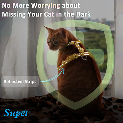 Escape-Proof Cat Harness & Leash Set