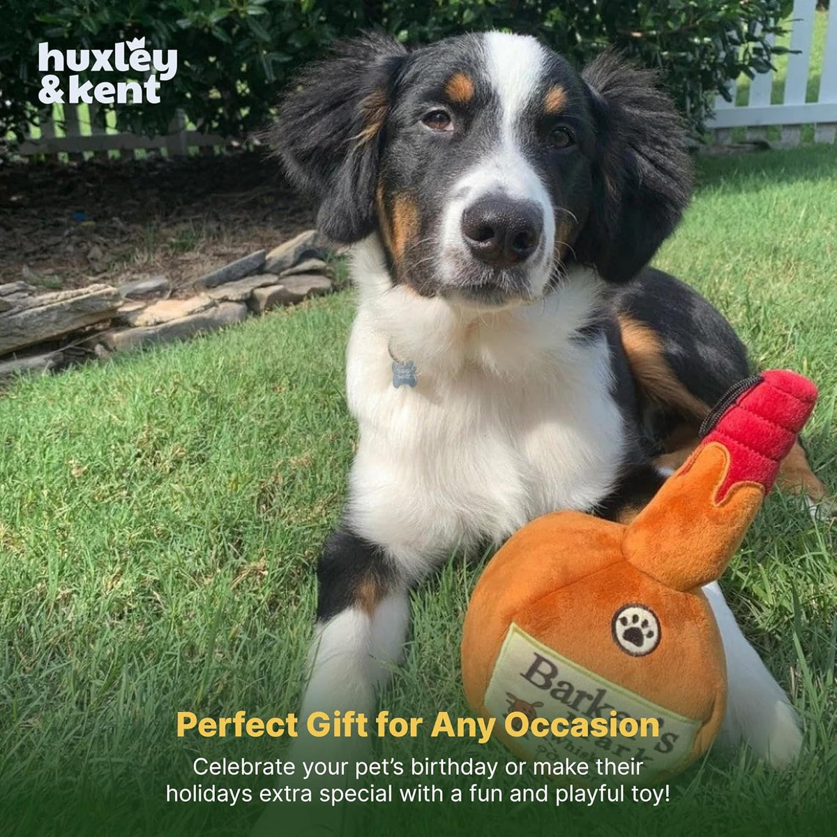 Squeaky Plush Dog Toy