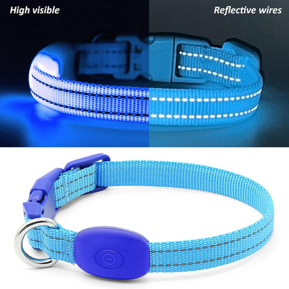 Light up Dog Collar, Reflective LED Rechargeable Puppy Collar