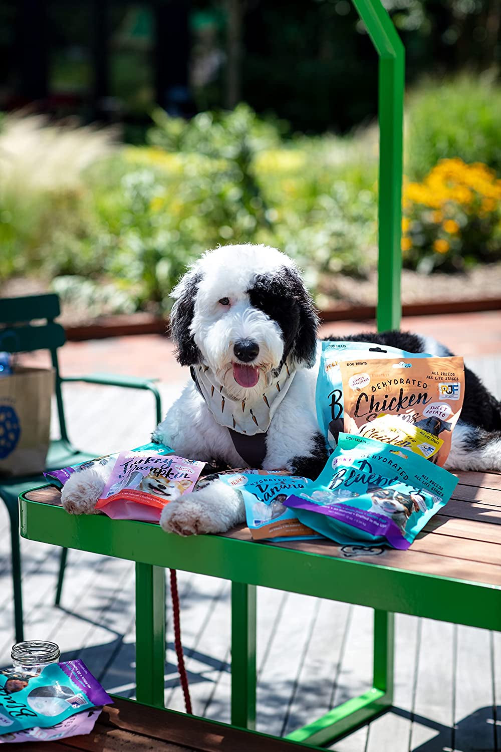 Beef & Banana Human-Grade Dog Jerky