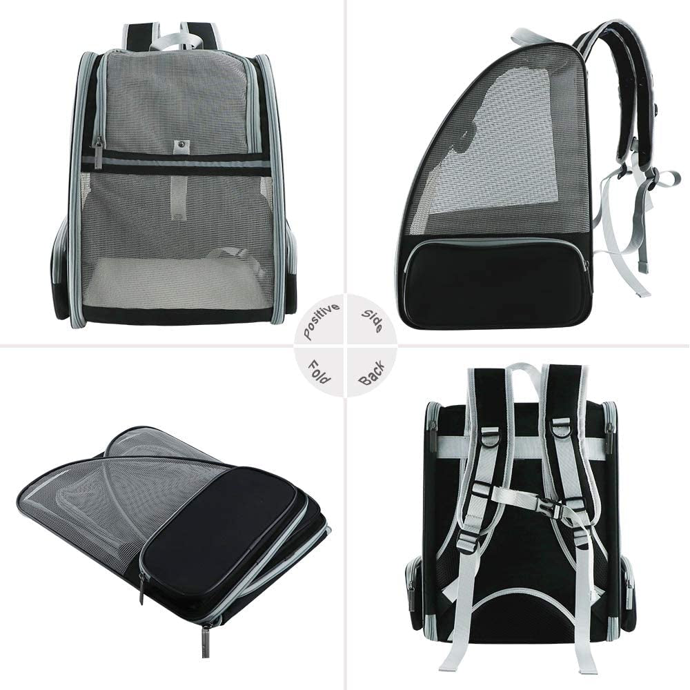 Innovative Bubble Backpack Pet Carrier