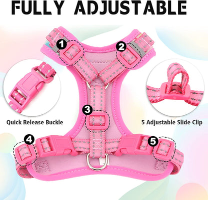 Escape-Proof Cat Harness & Leash Set