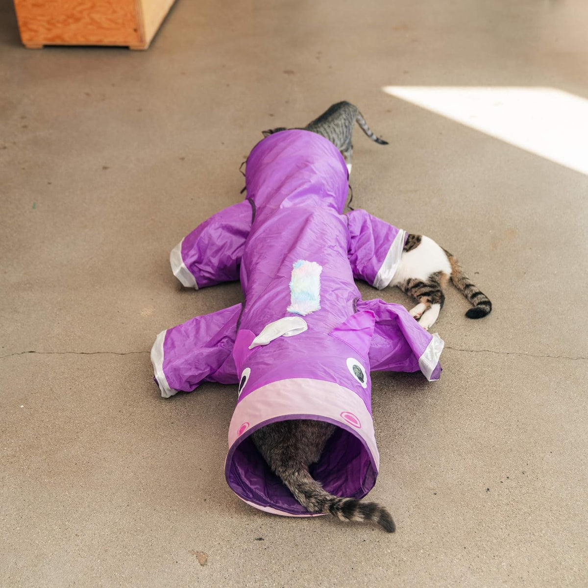 Multi-Cat Tunnel W/ Toy
