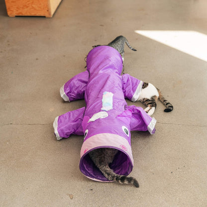 Multi-Cat Tunnel W/ Toy