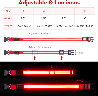 LED Dog Collar, USB Rechargeable Safety Light