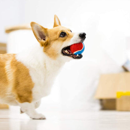 Squeaky Bouncy Tennis Balls (3-Pack)