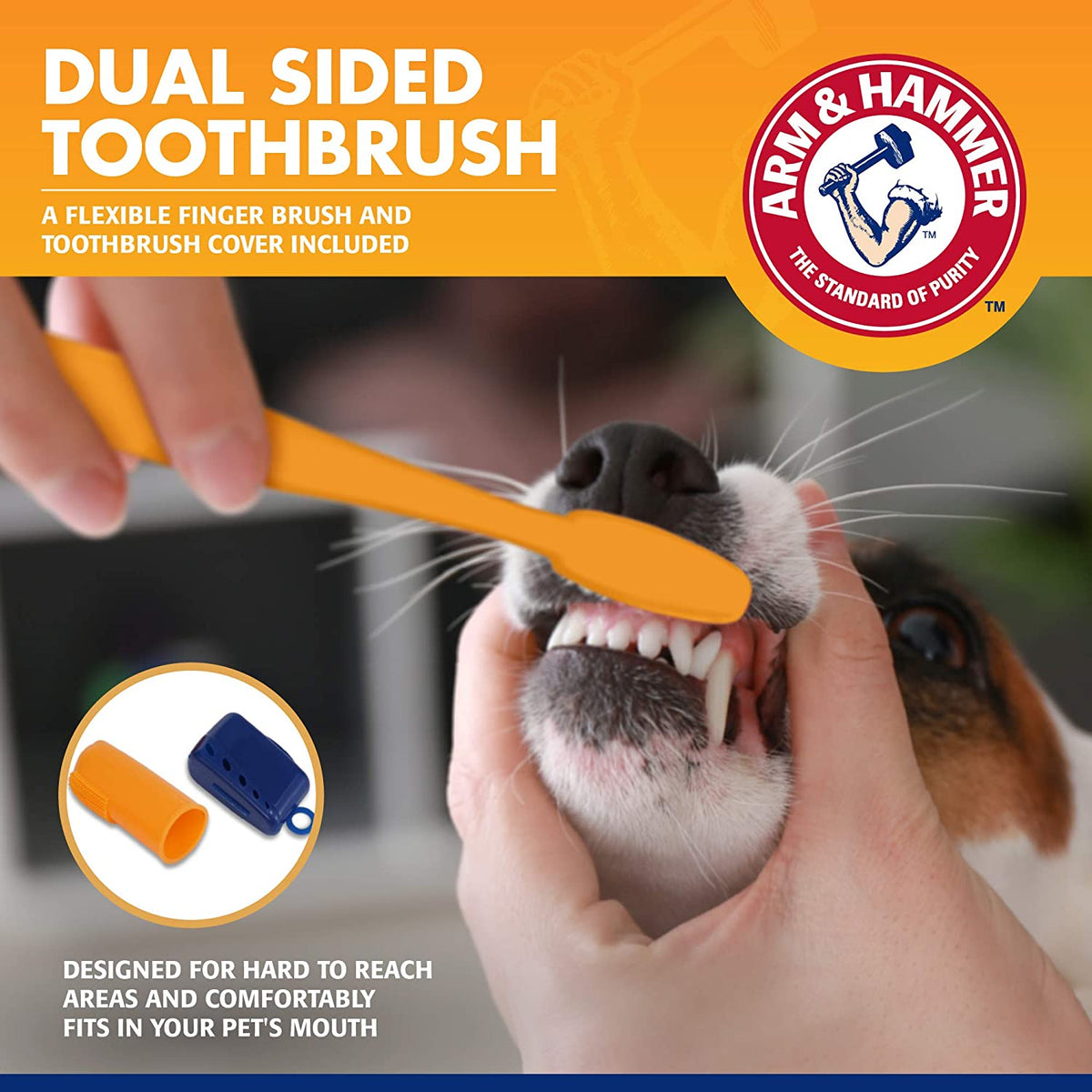 Dental Care Kit for Pets