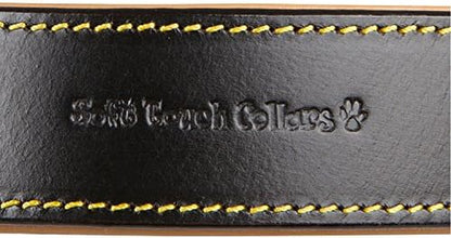 Padded Leather Dog Collar