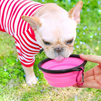 2-Pack Collapsible Travel Bowls
