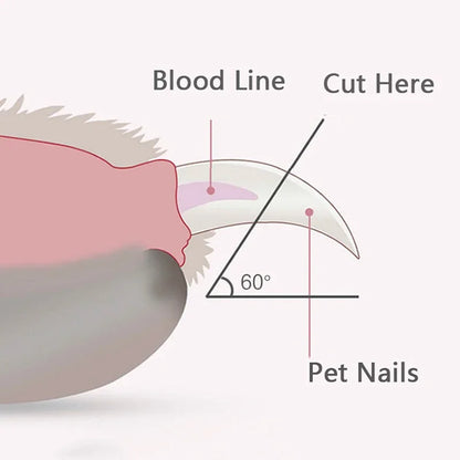 Professional LED Pet Nail Clippers