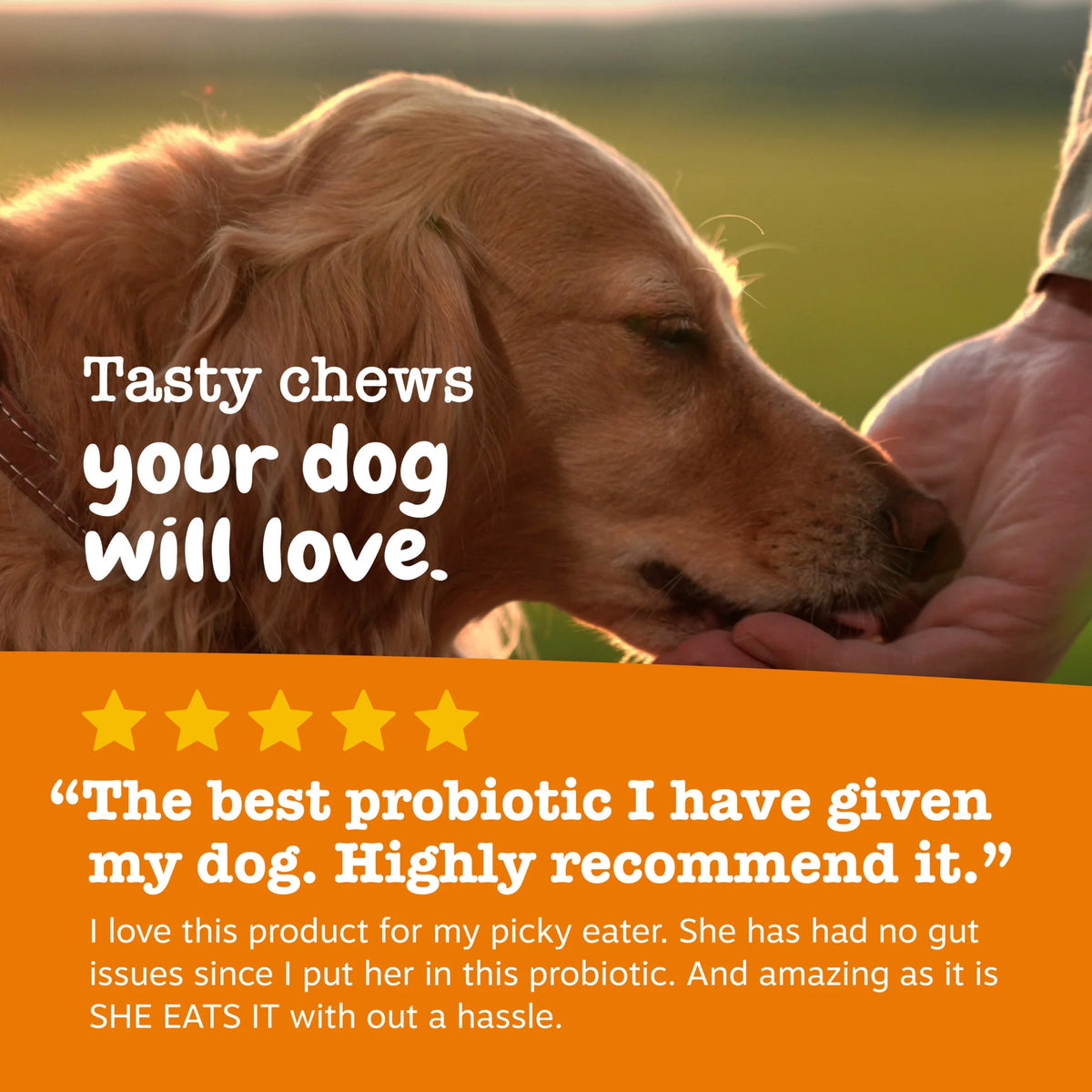Senior Probiotic Soft Chews