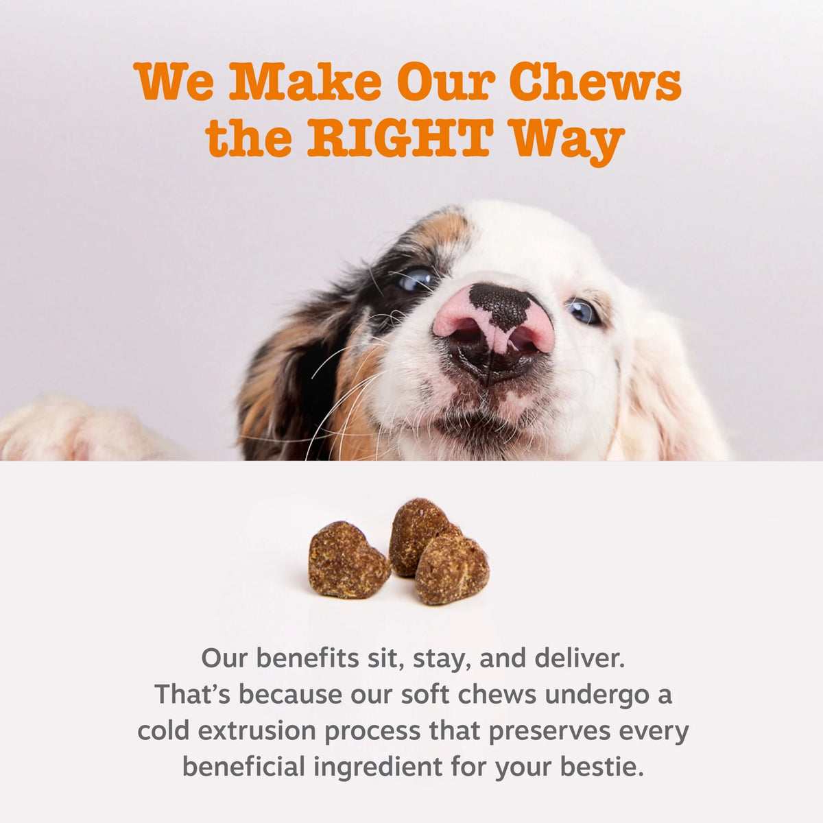 Senior Probiotic Soft Chews