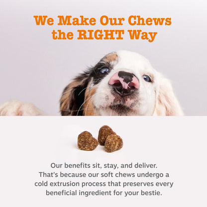 Senior Probiotic Soft Chews