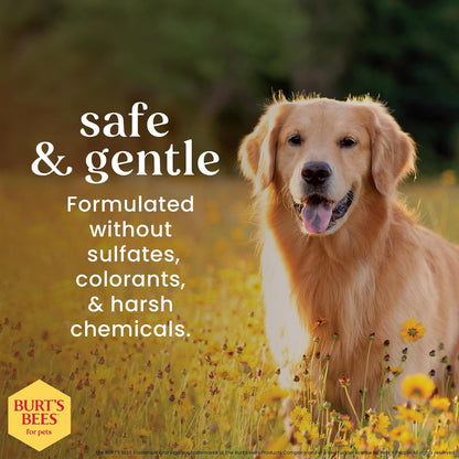 Burt'S Bees Waterless Shampoo Spray