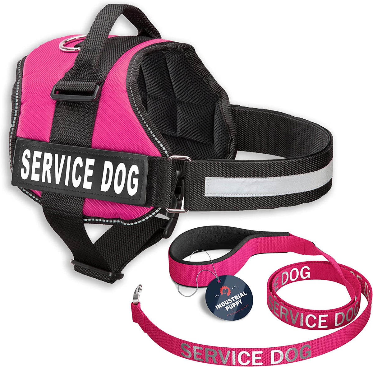 Service Dog Vest + Leash Set
