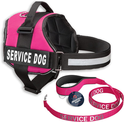 Service Dog Vest + Leash Set